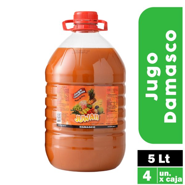 Jugo Concentrado Damasco 5lt - Caja 4 Unidades - Compra Empresa